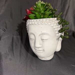 White Buddha Head Planter with Green and Red Succulents